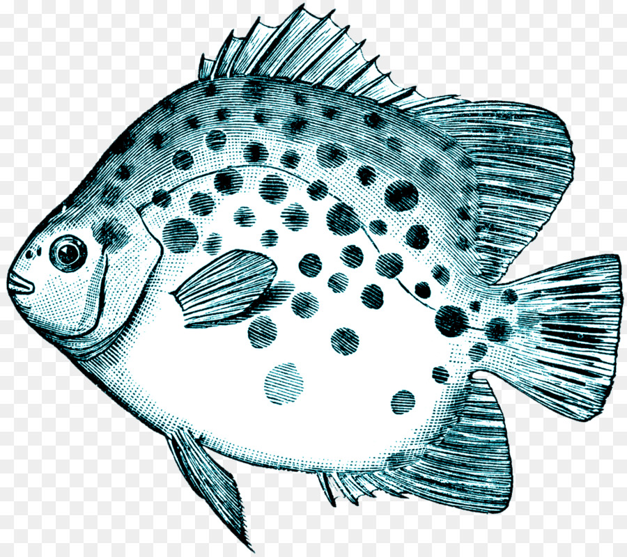 Poisson，Scie PNG