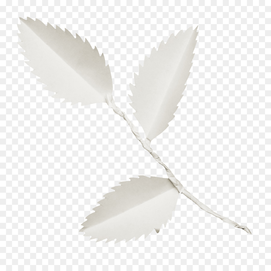 Feuille De Papier，Décoration PNG