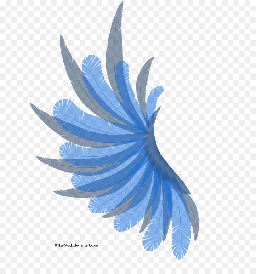 Plume，Oiseau PNG