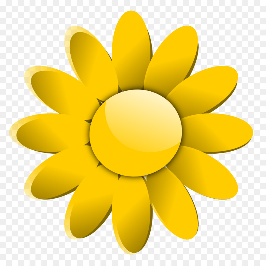 Tournesol，Jaune PNG