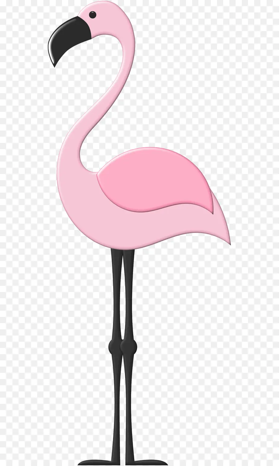 Flamant Rose，Debout PNG