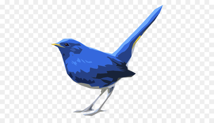 Oiseau，Colibri PNG