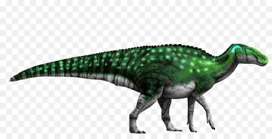 Jurassic Park Builder，Dimorphodon PNG