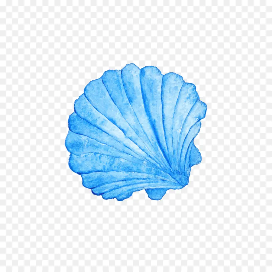 Coquille Bleue，Mer PNG