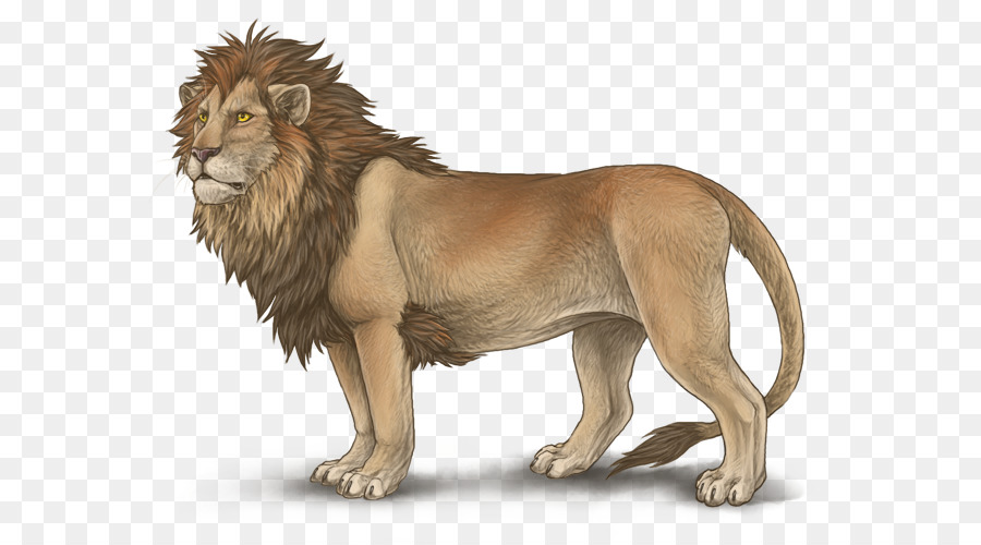 Lion，Mutation PNG