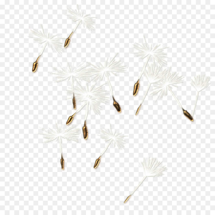 Les Insectes，Blanc PNG
