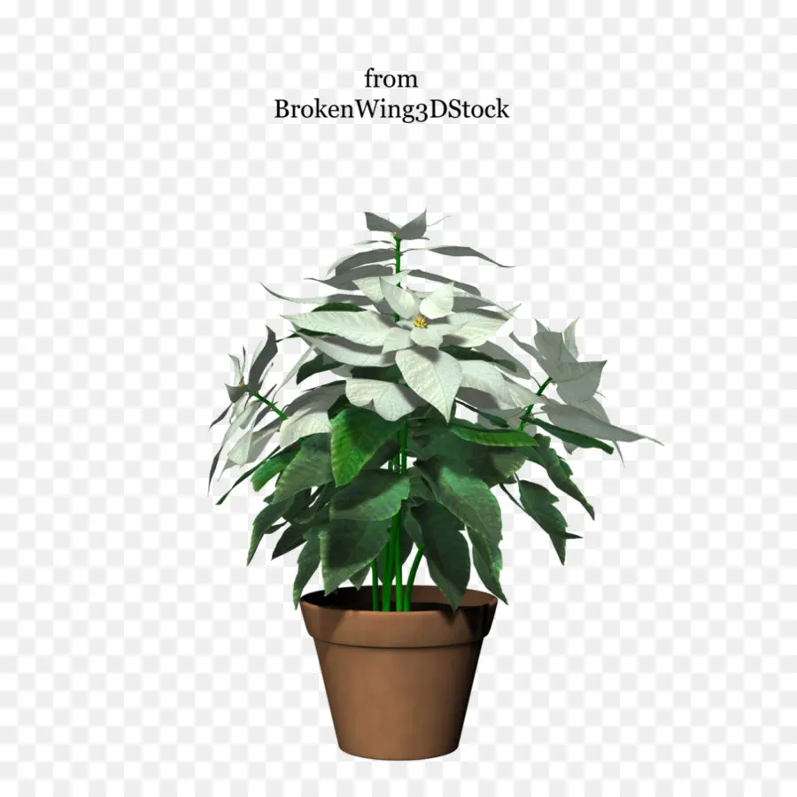 Plante En Pot，Vert PNG