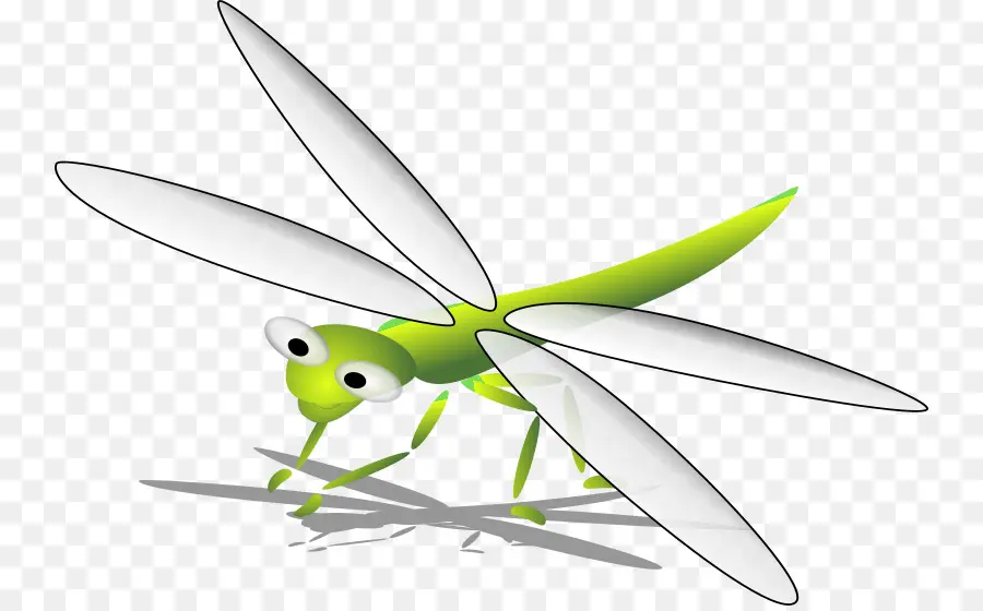 Libellule Verte，Ailes PNG