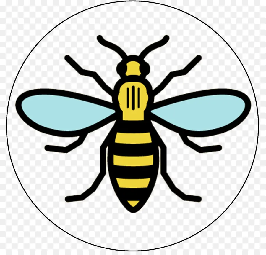 Manchester，Abeille PNG