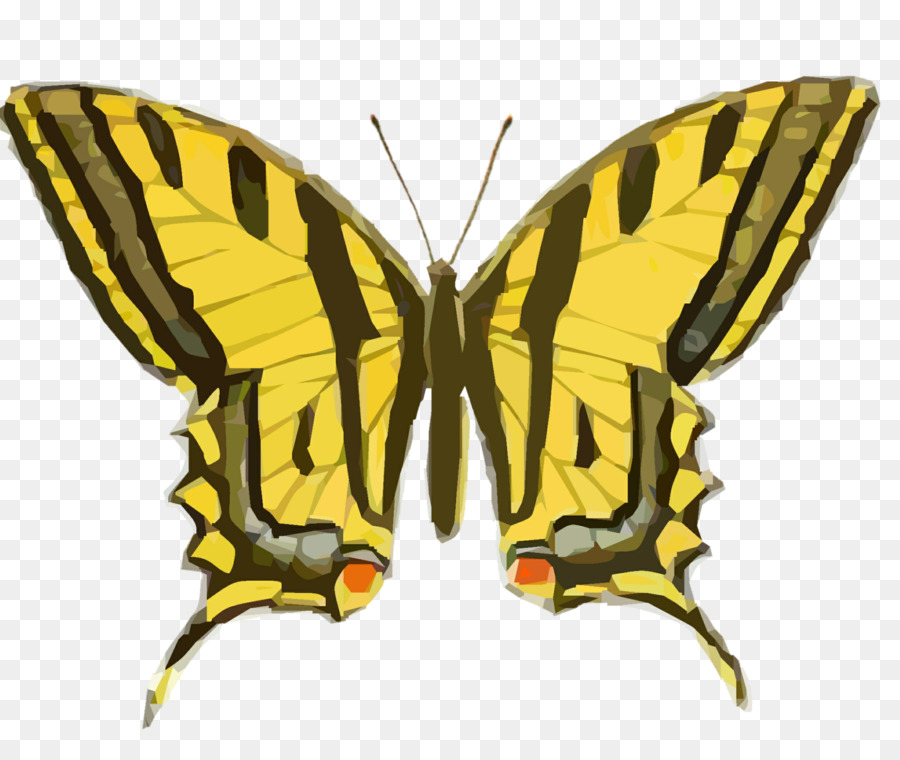 Papillon，Ailes PNG