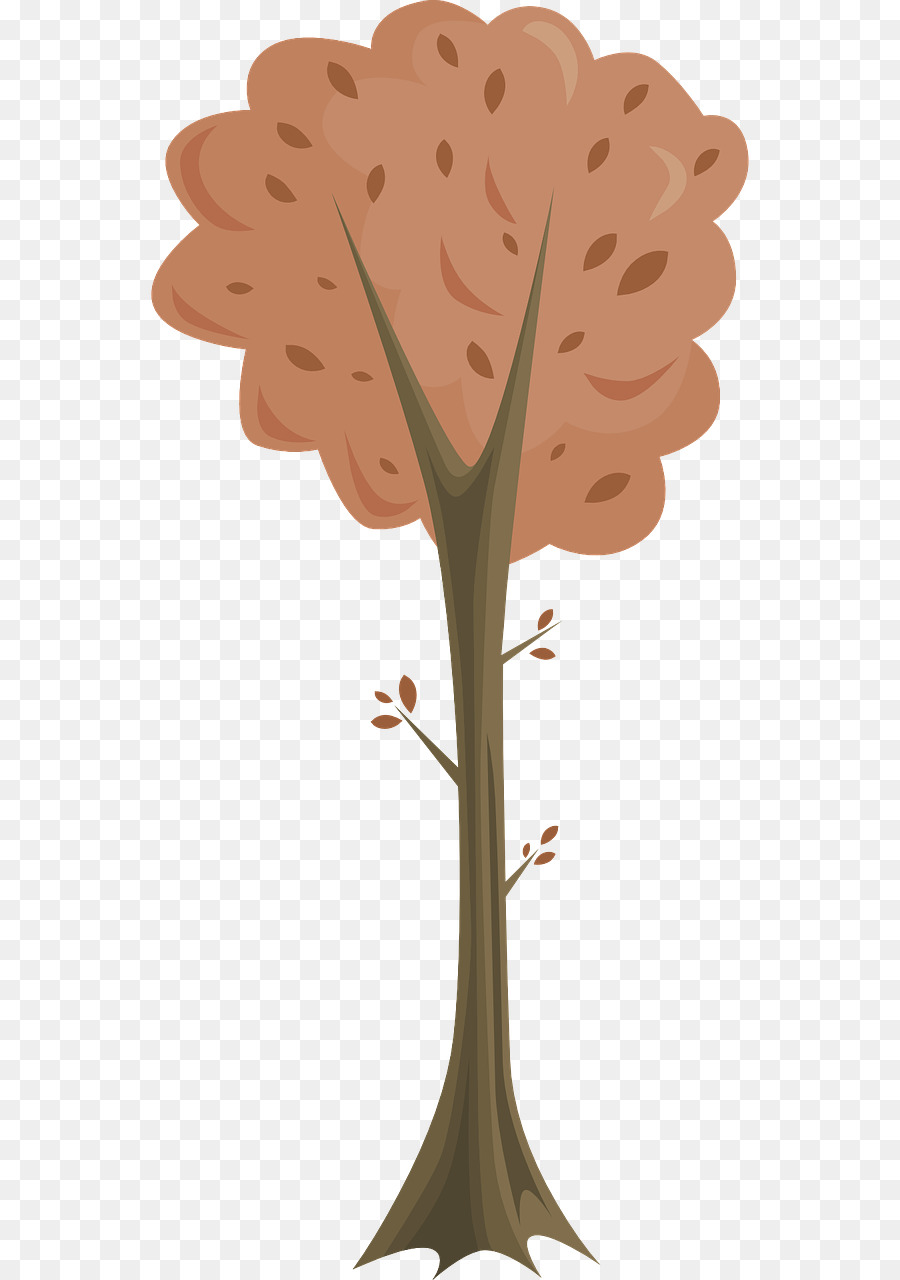 Arbre De Dessin Animé，Feuilles PNG