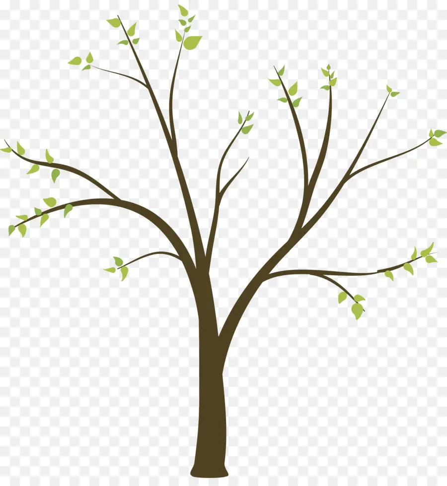 Arbre，Feuilles PNG