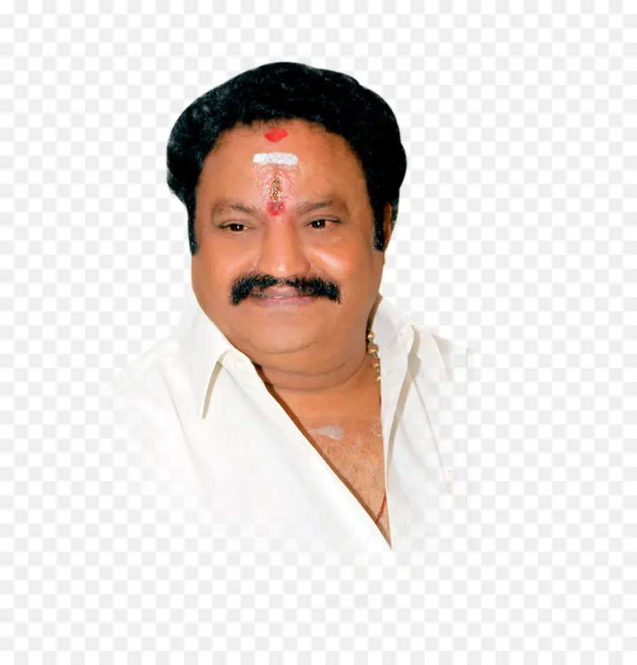 Nandamuri Harikrishna，Party Telugu Desam PNG