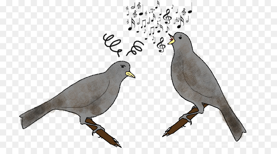 Chant Des Oiseaux，Notes De Musique PNG