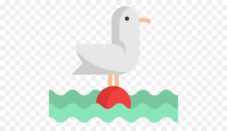 Mouette，Eau PNG