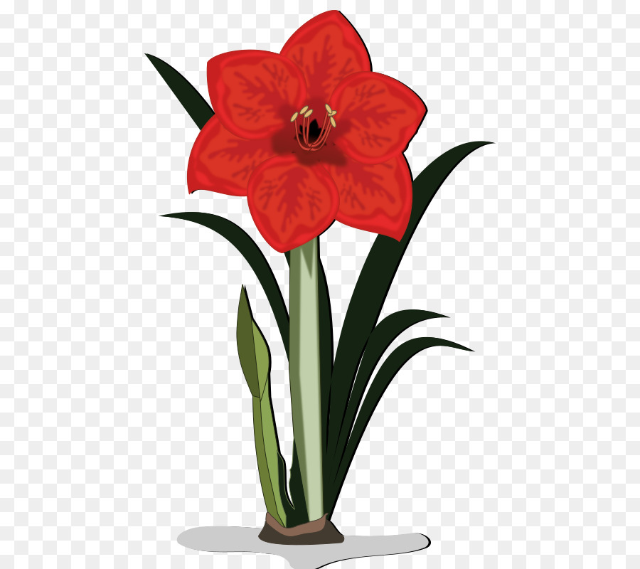 Fleurs Rouges，Lis PNG