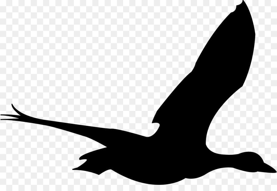 Oiseau Noir，Vol PNG