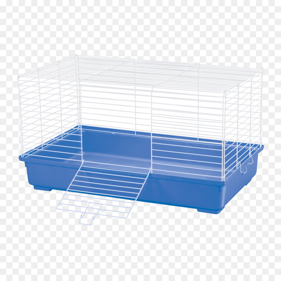 Cage，Animal De Compagnie PNG