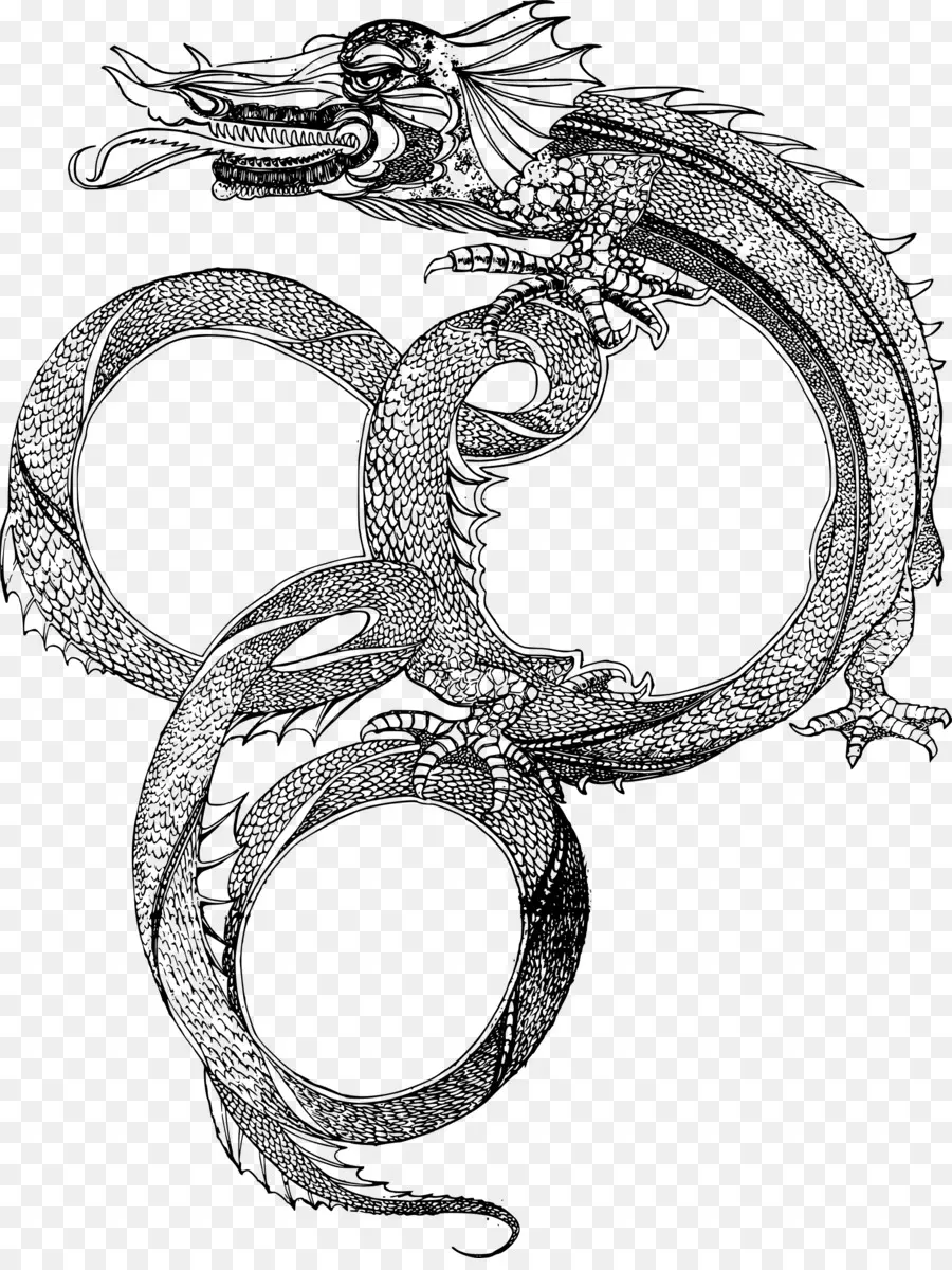 Dragon，Fantaisie PNG