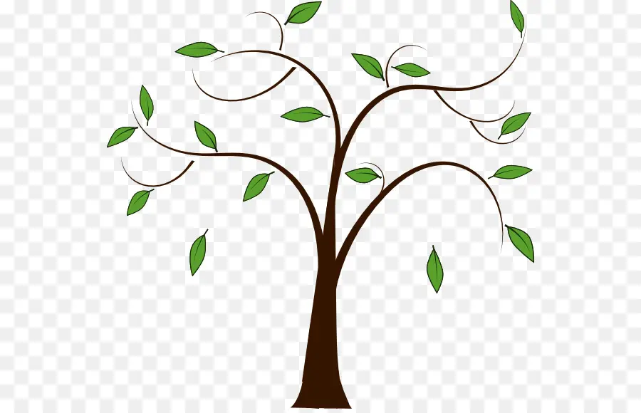 Arbre，Branche PNG