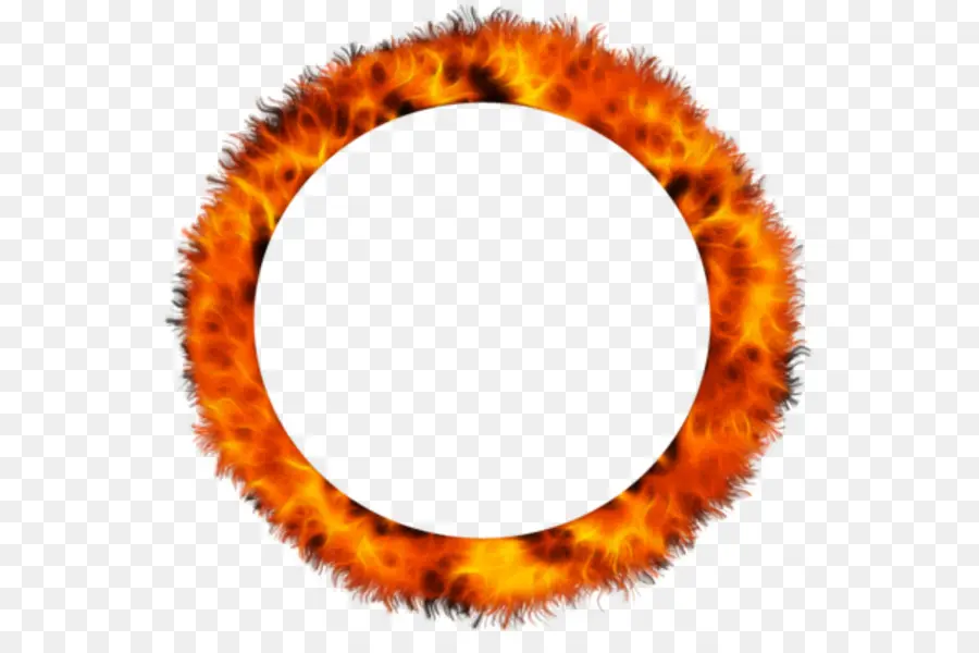 Cercle De Feu，Feu PNG