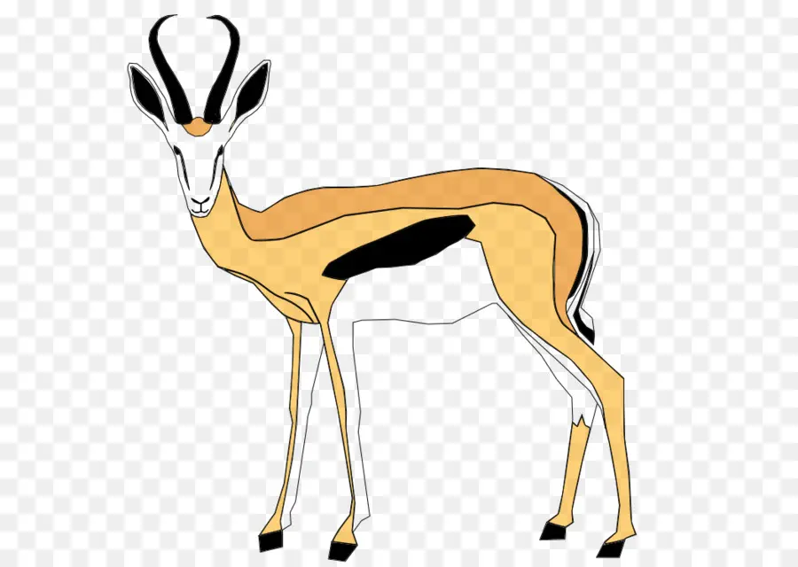 Springbok，Gazelle PNG