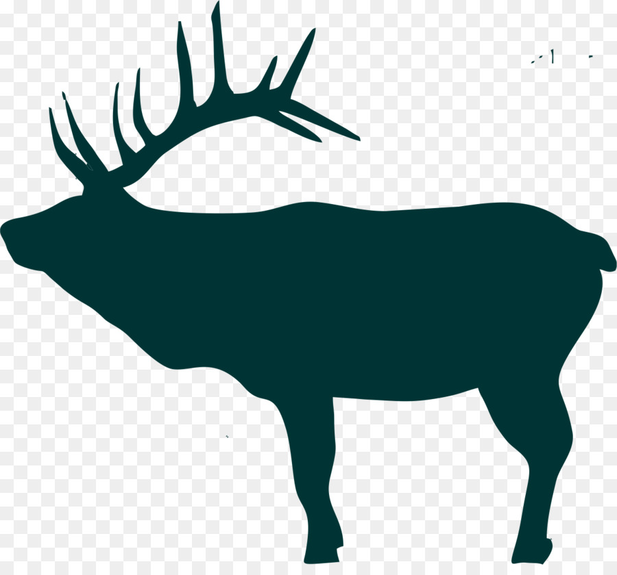 Elk，Cerf PNG