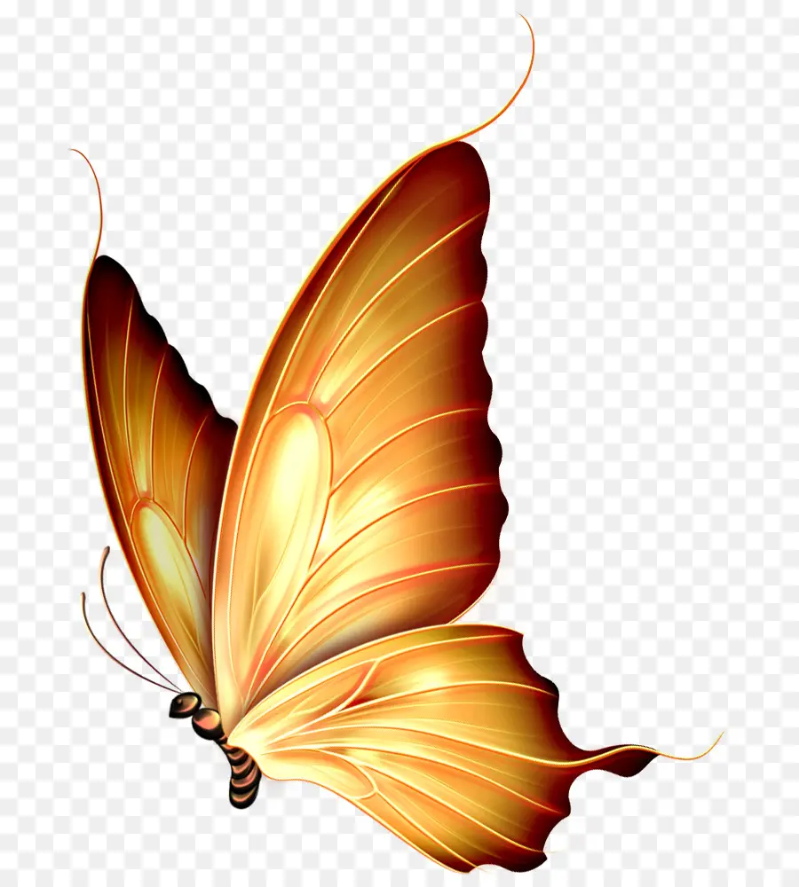 Papillons，Ailes PNG