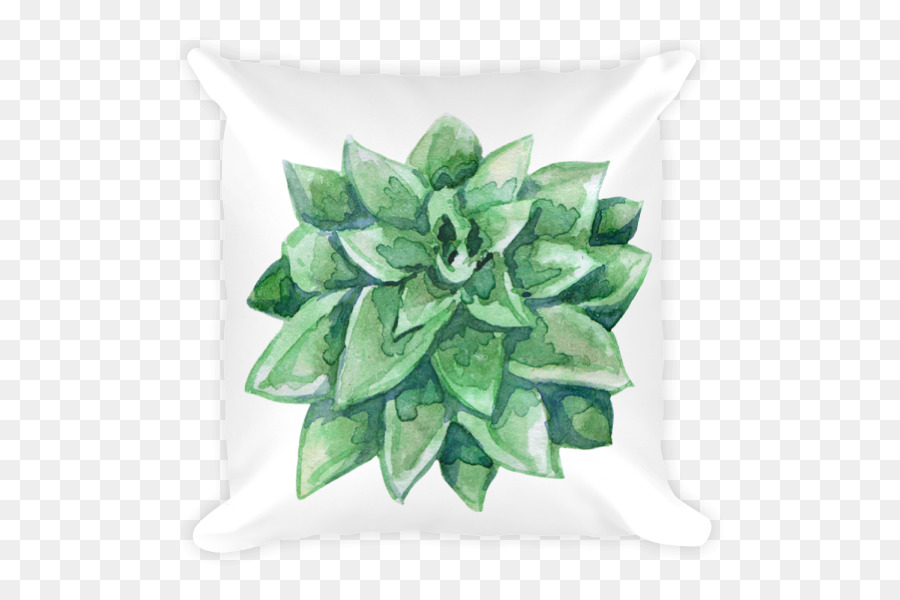 Plante Succulente，Vert PNG