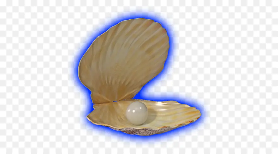 Perle En Coquille，Perle PNG