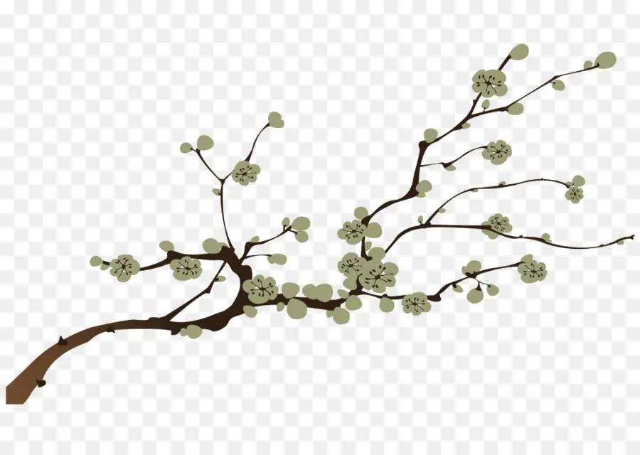 Branche De Fleurs，Bifurquer PNG