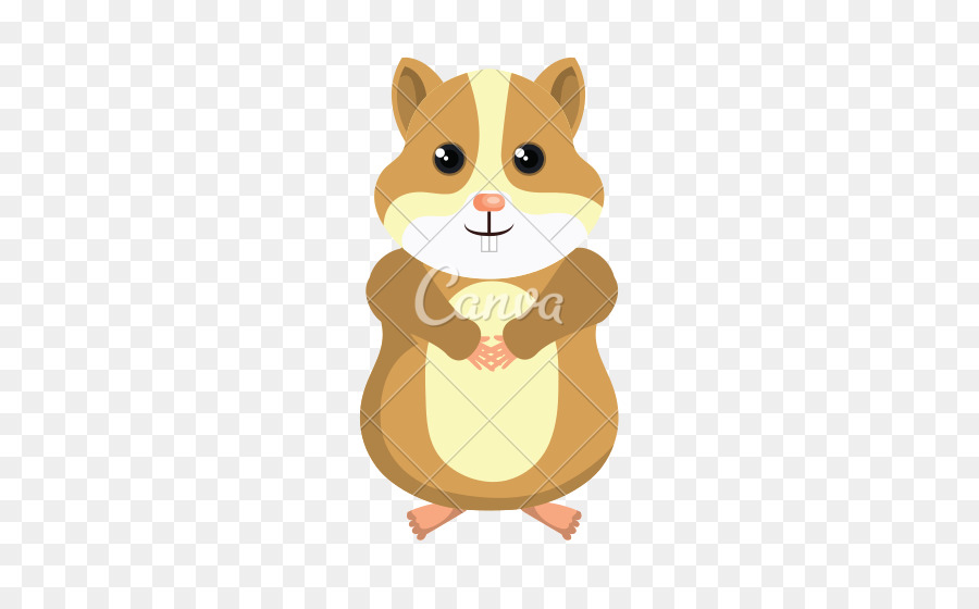 Hamster，Les Rongeurs PNG