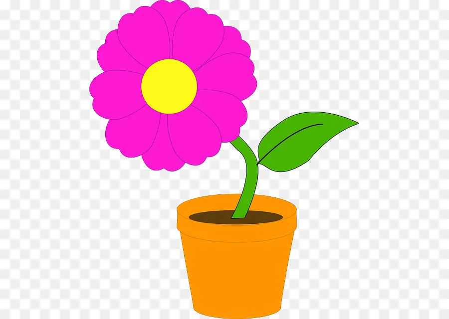 Flowerpot，Fleur PNG
