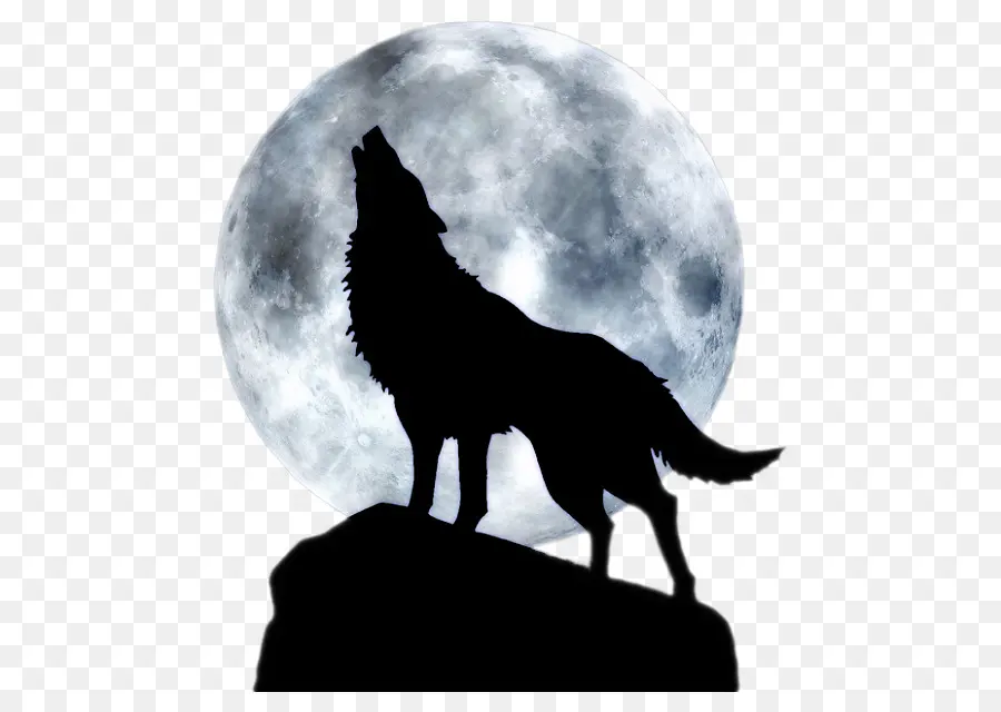 Chien，Lune PNG