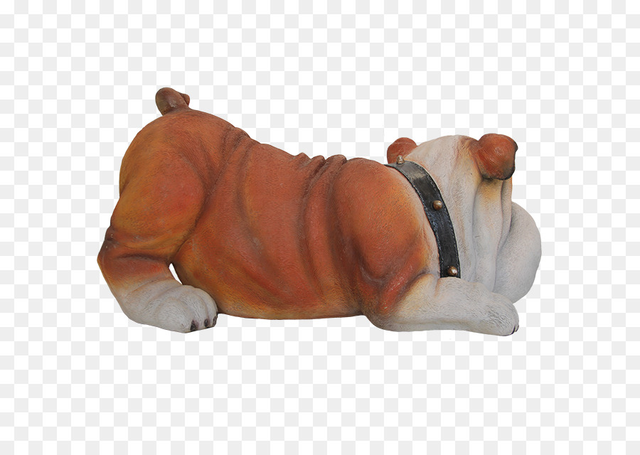 Bouledogue，Museau PNG