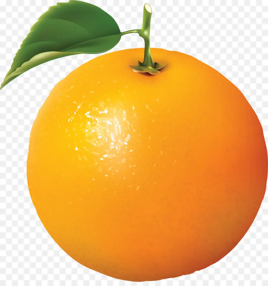 Fruits Oranges，Feuille PNG