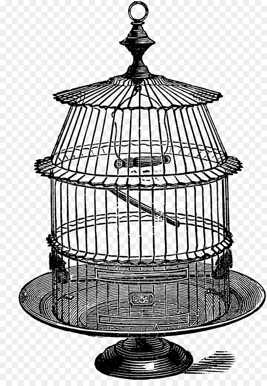 Cage à Oiseaux Noir Et Blanc Dessin Png Cage à Oiseaux