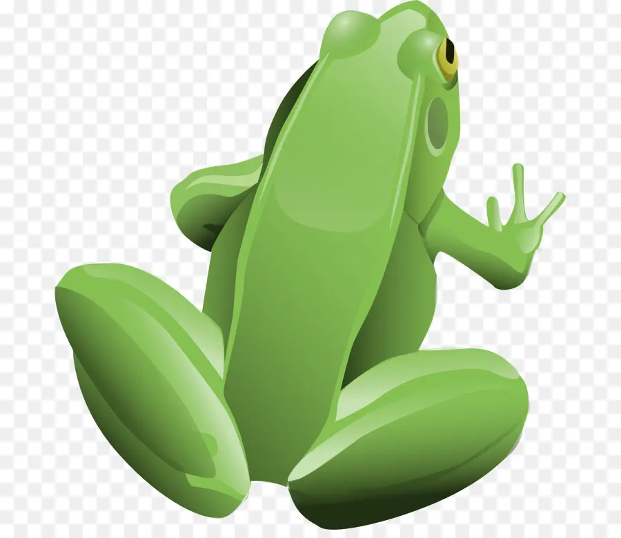 Grenouille Verte，Amphibie PNG