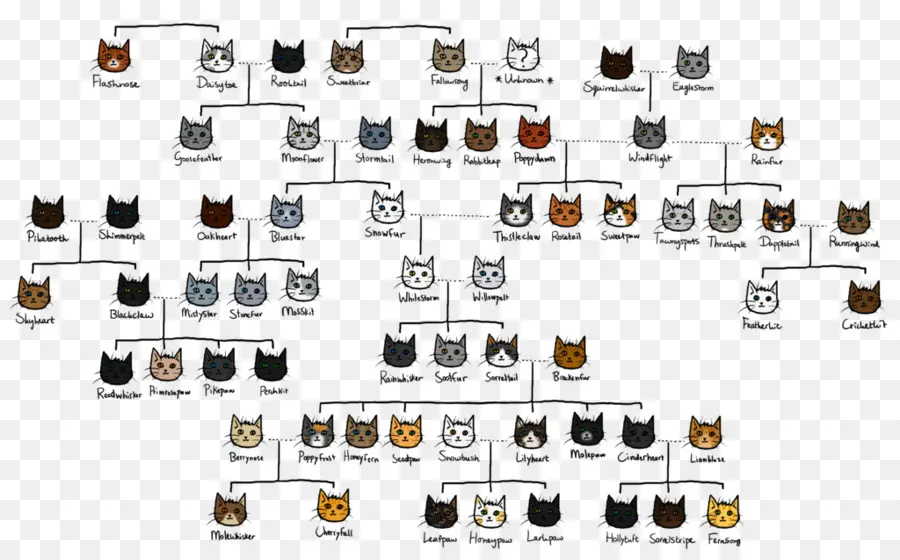 Arbre Généalogique Des Chats，Chats PNG