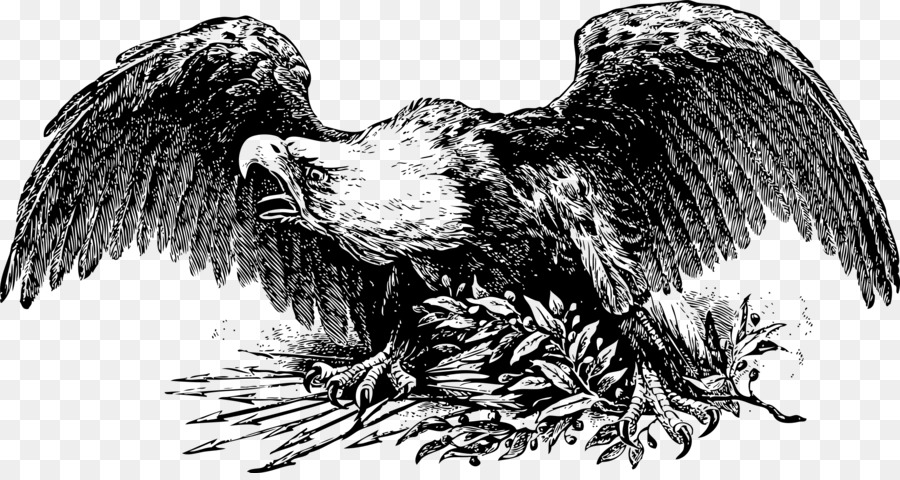 La Guerre De L Aigle，Dessin PNG
