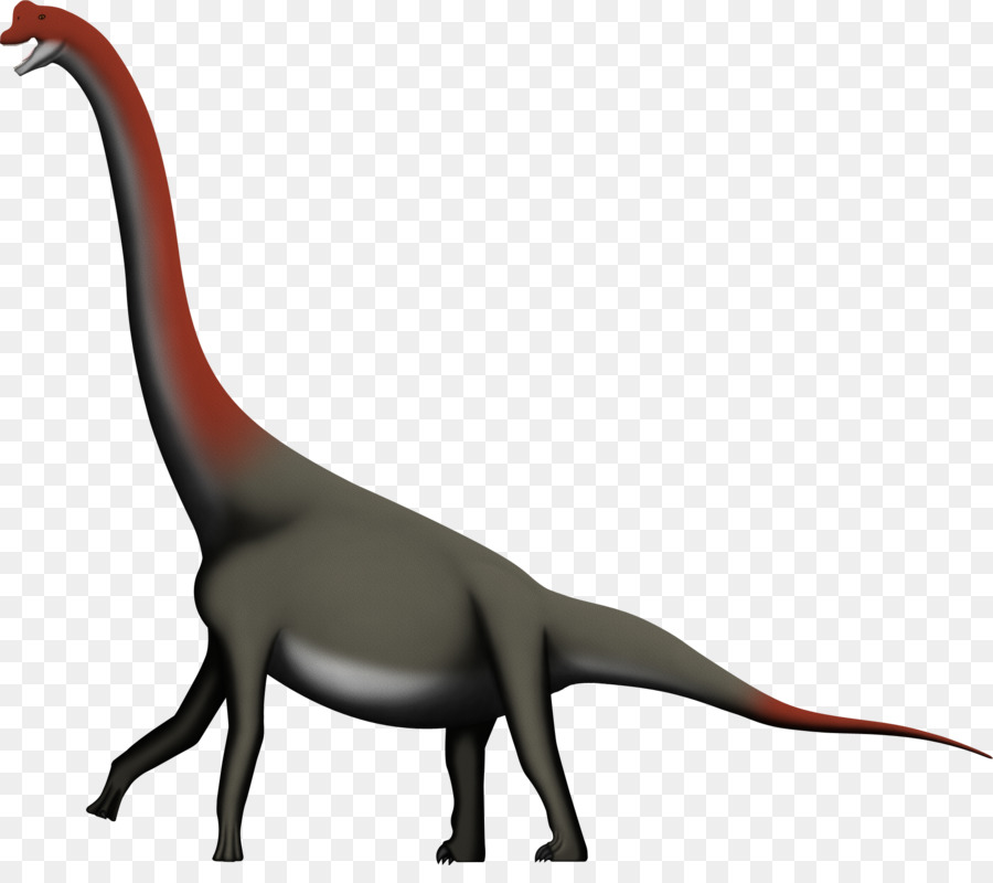 Lapparentosaurus，Macronaria PNG