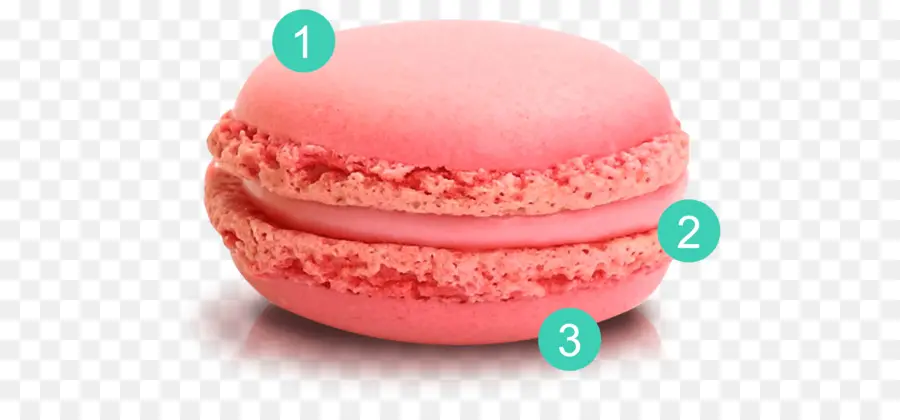 Macaron Rose，Dessert PNG