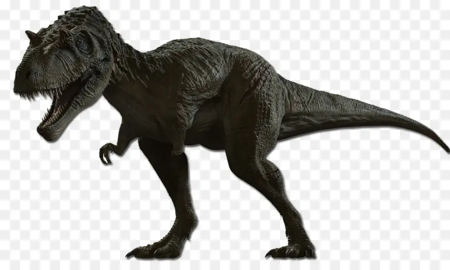 Tyrannosaure Rex，Préhistorique PNG