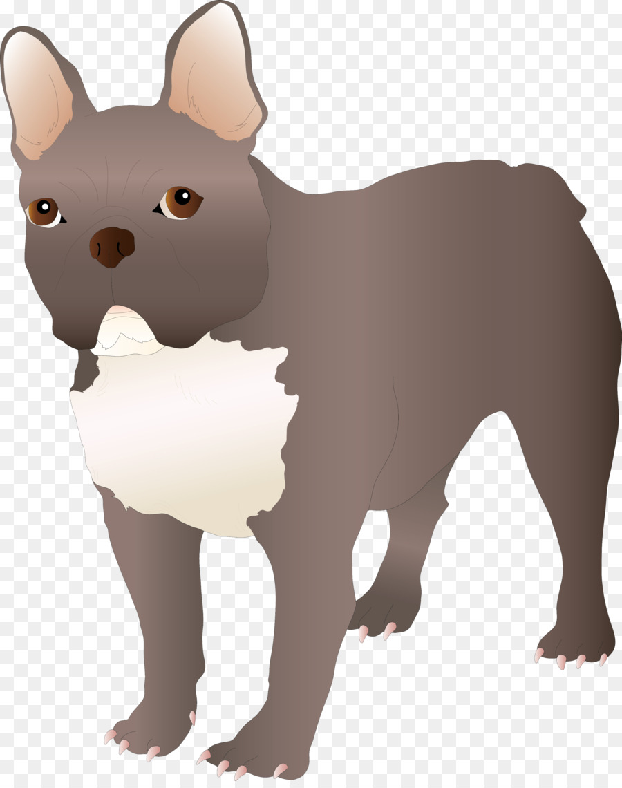 Bouledogue Français，Bouledogue PNG