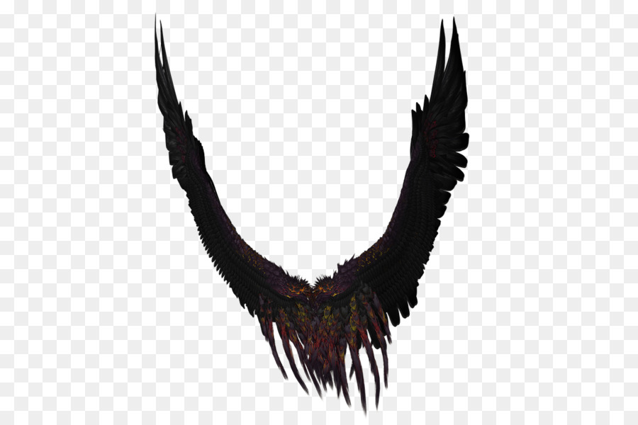 Ailes Noires，Plumes PNG