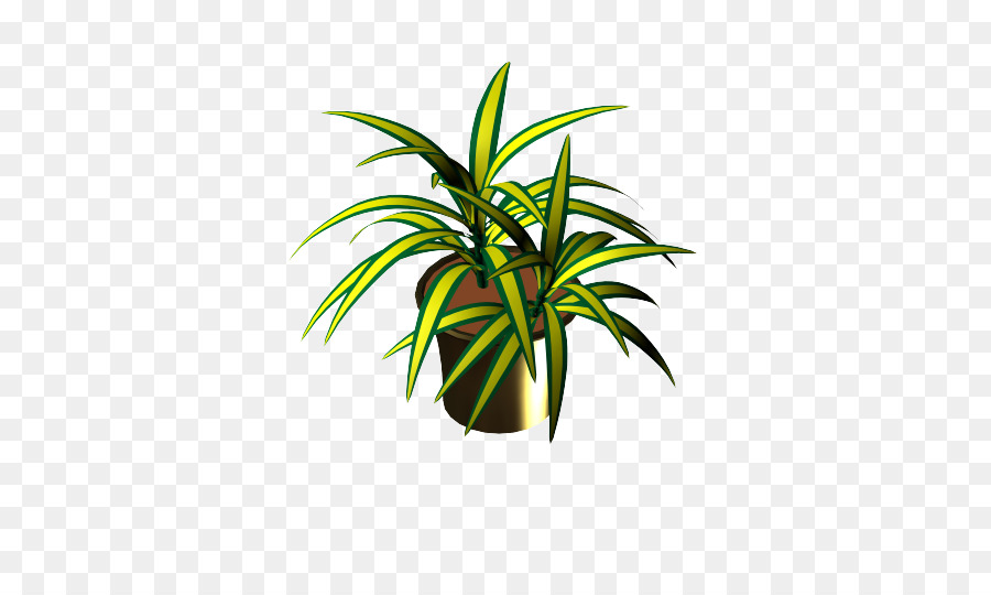 Plante En Pot，Usine PNG