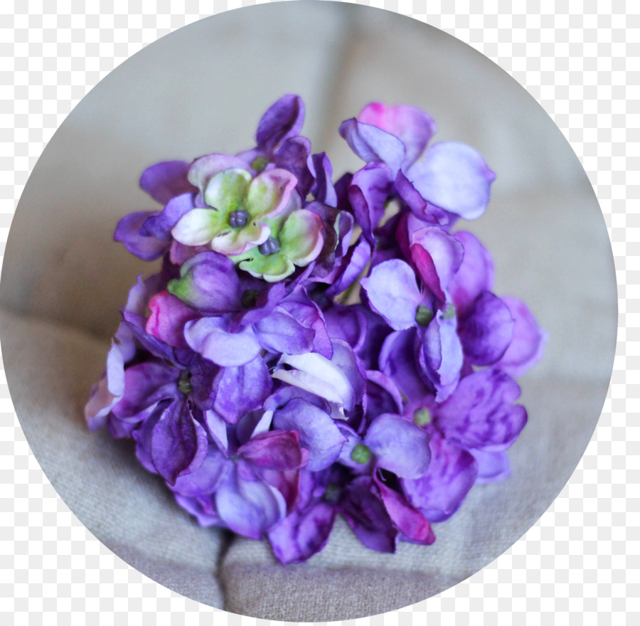 Instagram，Hortensia PNG