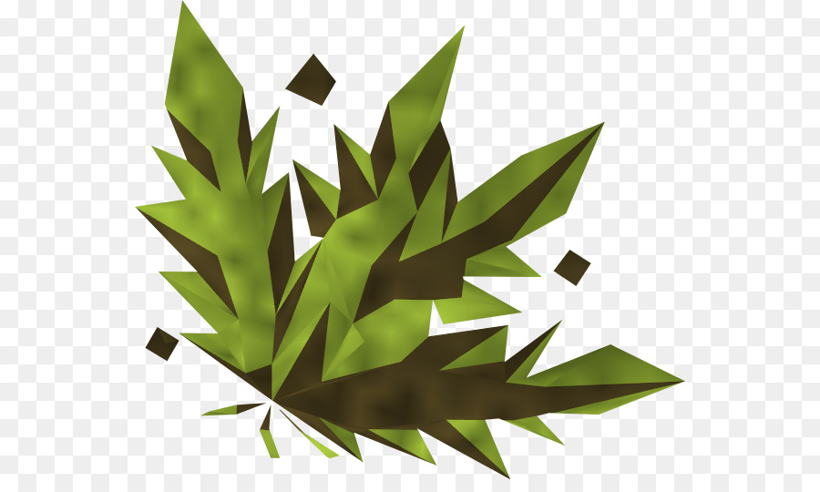 Feuille Verte，Feuillage PNG