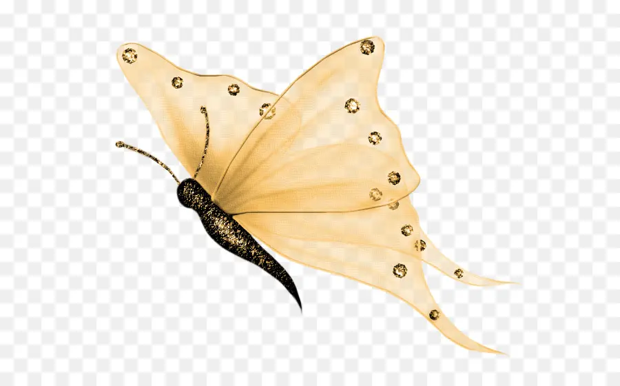 Papillon，L Effet Papillon PNG