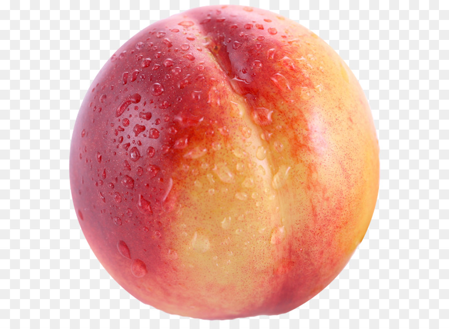 Nectarine，Muffin PNG